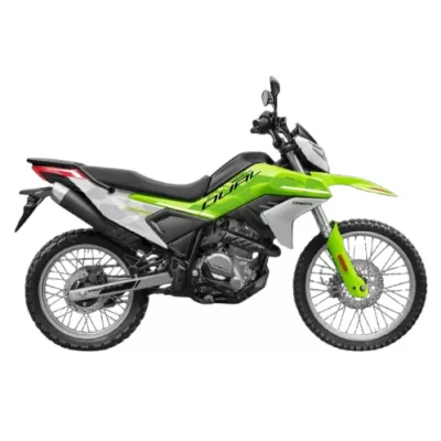 CFMOTO 250 DUAL