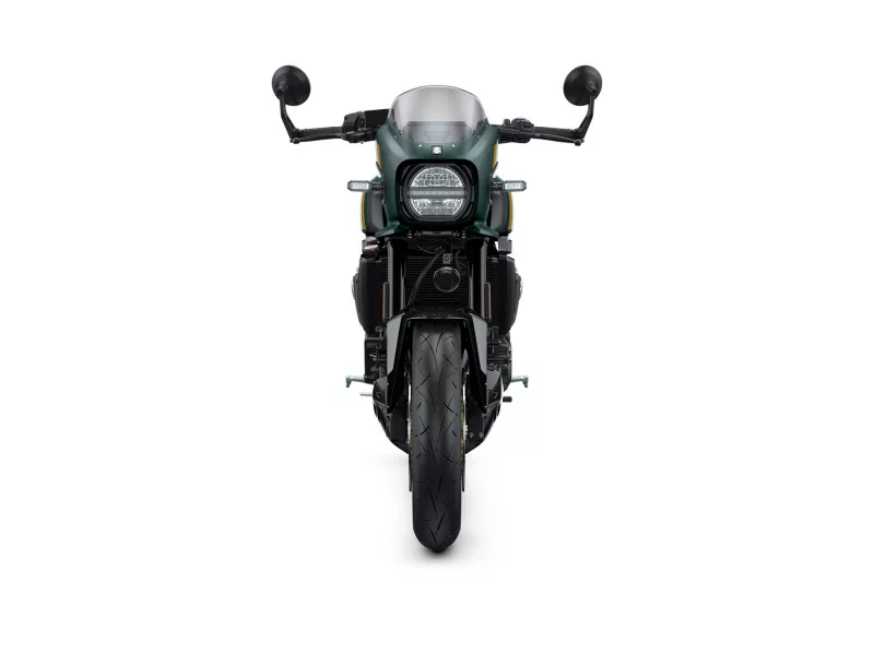 Suzuki GSX-8TT Verde