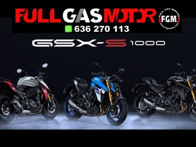 SUZUKI GSX S 1000