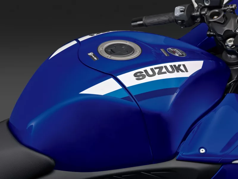 SUZUKI HAYABUSA 1300 2026 SPECIAL EDITION