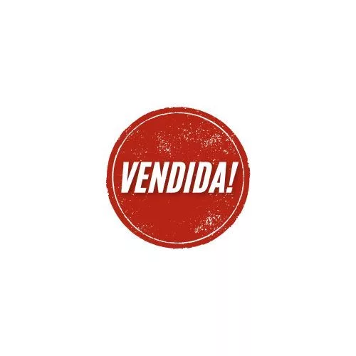 VOGE 900 DSX 2025 V.O.